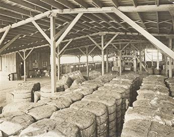 (THE SOUTH) A group of four photographs documenting African American sharecroppers cotton picking (2) and its packing and storage (2).